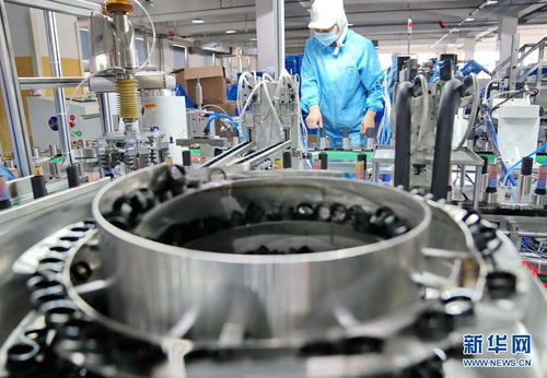 河北固安 聚焦高新技术产业，以企业技术服务驱动经济高质量发展