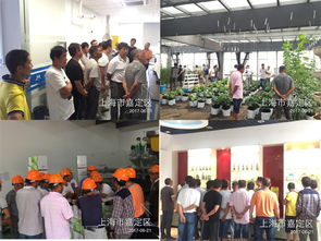 上海永通 以专业技术服务，欢迎各界伙伴共创未来